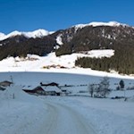 Zunächst wandert man die Straße zum eigentlichen Beginn der Rodelbahn hoch