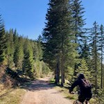 Auch so manchen Mountainbiker zieht es zur Vöraner Alm