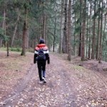 Durch den lichten Wald in Richtung Lajen