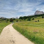 Vor uns erheben sich der Lang- und Plattkofel