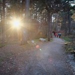 Die Sigmund-Freud-Promenade erfreut sich bei Einheimischen und Touristen großer Beliebtheit