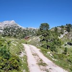 Inmitten einer idyllischen Bergwelt lädt die Rossalm zur Einkehr