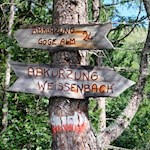 Wer möchte, kann auch die Abkürzung zur Göge Alm nehmen