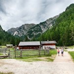 Die Grünwaldalm liegt eine knappe halbe Stunde vom Pragser Wildsee entfernt