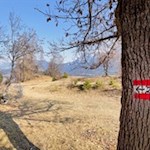 Unsere Wanderung auf dem Ritten ist gut markiert