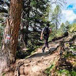 Nella piacevole salita attraverso il bosco rado