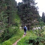 Durch den Wald zurück nach Cialciagn