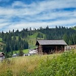 Attraverso boschi e prati fino al Kaiserstein