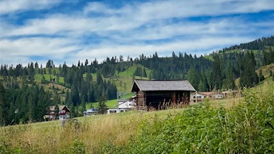 Durch Wald und Wiesen zum Kaiserstein
