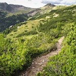 Latschenkiefern säumen den Anstieg auf die Villanderer Alm