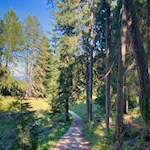 Leichte Wanderung zur Schönrastalm