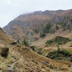 Über die herbstlich gefärbten Hänge in Richtung Gampielalm