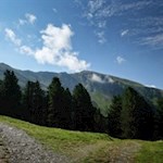 Die sanften Hänge der Plose