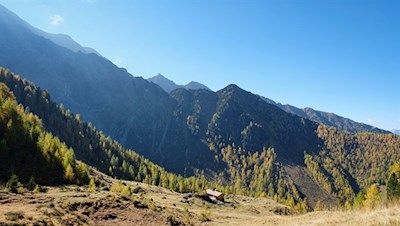 Auf dem Rückweg in Richtung Grubenalm