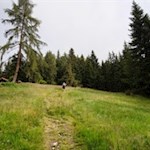 Der nicht ausgeschilderte Weg auf den Steinspitz ist gut ausgetreten