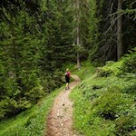 Im angenehmen Anstieg in Richtung Putzalm