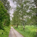 Entlang des Bachdamms zurück nach Wiesen