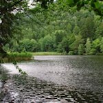 Der Vahrner See, ein Refugium für zahlreiche Tierarten