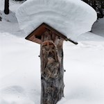 Entlang des Kreuzweges erzählen 15 Kreuzwegstationen den Leidensweg Christi nach