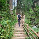 Durch den Wald zum Issinger Weiher