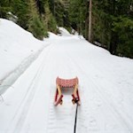 Mit der Rodel zur Weizgruberalm