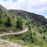 Auf dem Weg Nr. 6 zurück auf den Ochsenboden