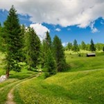 Durch idyllische Blumenwiesen zur Vaciara Hütte