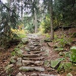 Über schön angelegte Waldpfade nach Spinges