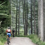 Anstieg durch den Wald auf den Helm