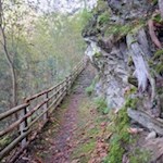 Entlang des Trametschbaches führt der Waldsteig nach St. Andrä