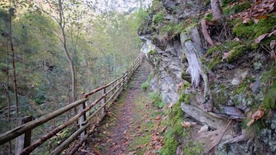 Entlang des Trametschbaches führt der Waldsteig nach St. Andrä