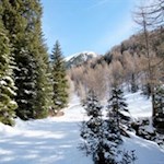 Die Wanderung zur Uwaldalm führt durch einen märchenhaft verschneiten Nadelwald