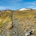 Die letzten Anstiegsmeter auf den Maurerberg