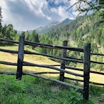 Durch Wald und Wiesen zur Latscher Alm