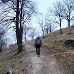 Der Weg auf den Peterbühl steigt sanft an