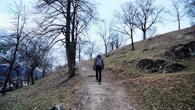 Der Weg auf den Peterbühl steigt sanft an