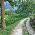 Auf dem Weg von Pinzagen nach Brixen