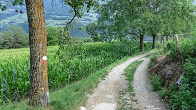 Auf dem Weg von Pinzagen nach Brixen