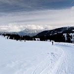 Die Wanderung zur Stöfflhütte führt über die bezaubernde Villanderer Alm