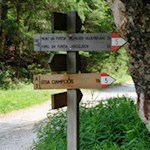 Bei einem großen Felsblock zweigt der Weg rechts ab