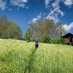 Wandern-von-Stange-nach-Telfes