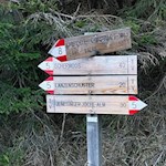 Der Anstieg zur Jenesier Jöchl Alm ist mit 30 Minuten ausgeschildert