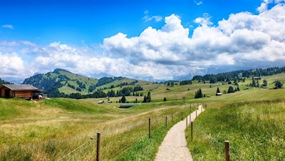 Auf der Seiser Alm, der größten Hochalm Europas