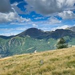 Die Wanderung zur Genterer Alm führt durch aussichtsreiche Weidewiesen