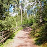 Anstieg in Richtung Wurzeralm