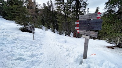 Die Wanderung zur Geisleralm ist gut ausgeschildert