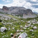 Il paesaggio montano ricoperto di pietre ai piedi della Croda Rossa