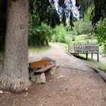 Il sentiero forestale attraversa dolcemente la valle d'Anna