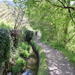 Waale sind charakteristisch für die Meraner und Vinschger Kulturlandschaft