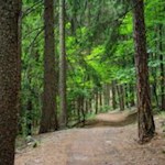 Auf sanften Wegen zum Vahrner See